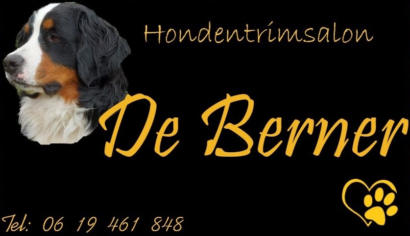 Trimsalon de Berner logo